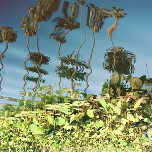 猛弄HD老太婆老熟女
